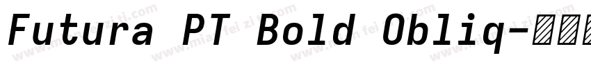 Futura PT Bold Obliq字体转换
